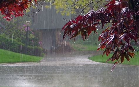 rain photos|beautiful images of rain.